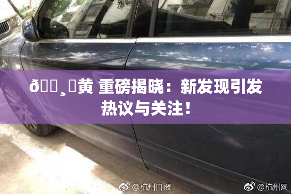 🌸‌黄 重磅揭晓：新发现引发热议与关注！