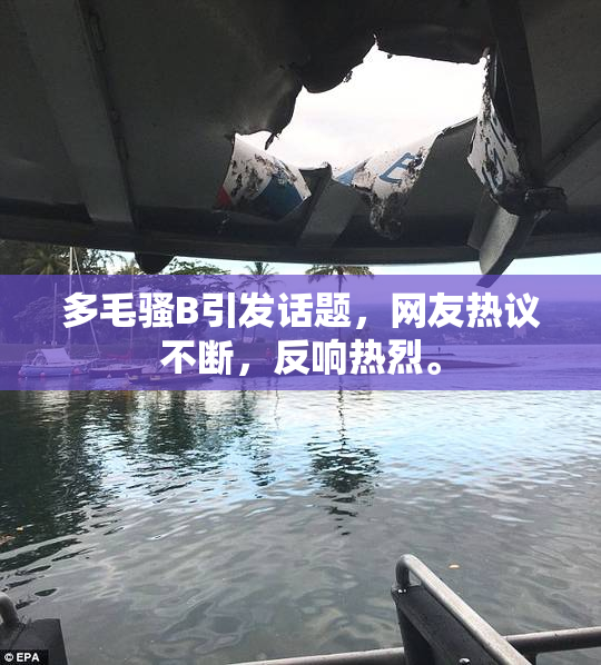 多毛骚B引发话题，网友热议不断，反响热烈。