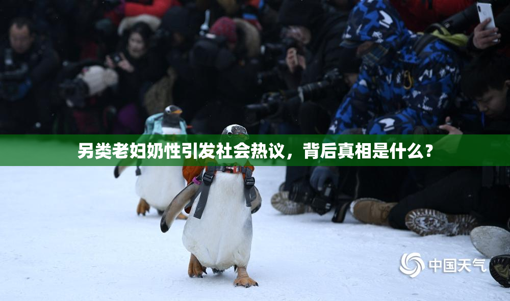 另类老妇奶性引发社会热议，背后真相是什么？