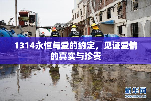 1314永恒与爱的约定，见证爱情的真实与珍贵
