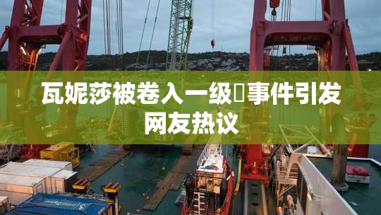 瓦妮莎被卷入一级婬事件引发网友热议
