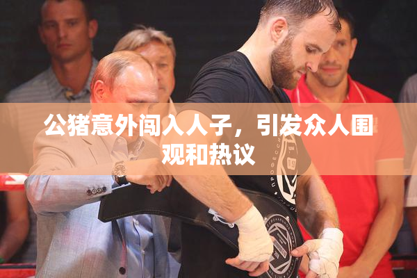公猪意外闯入人子，引发众人围观和热议