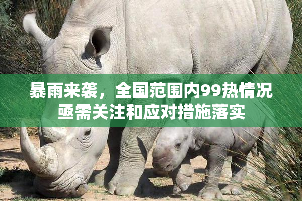 暴雨来袭，全国范围内99热情况亟需关注和应对措施落实