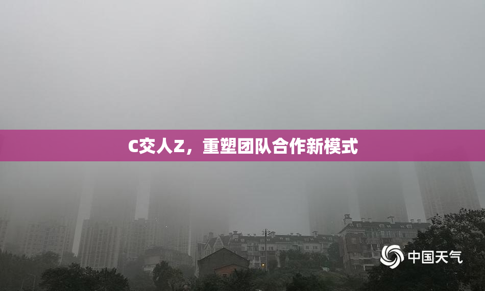 C交人Z，重塑团队合作新模式
