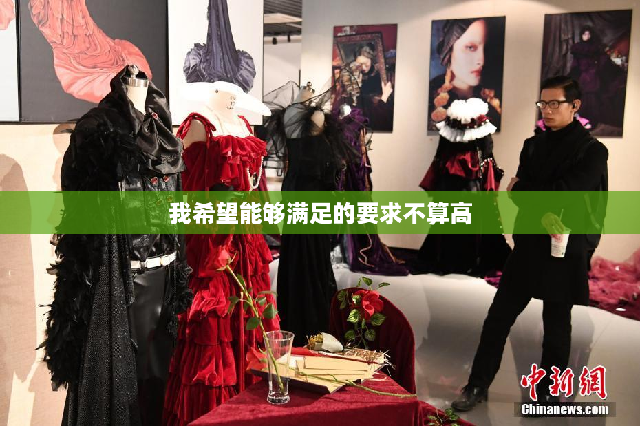 我希望能够满足的要求不算高