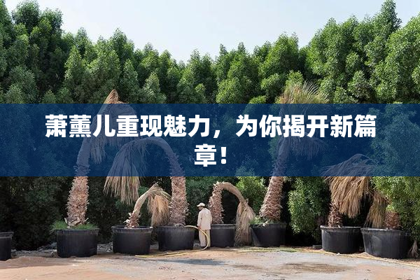 萧薰儿重现魅力，为你揭开新篇章！