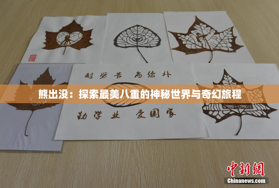 熊出没：探索最美八重的神秘世界与奇幻旅程