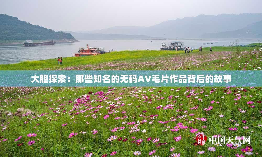 大胆探索：那些知名的无码AV毛片作品背后的故事