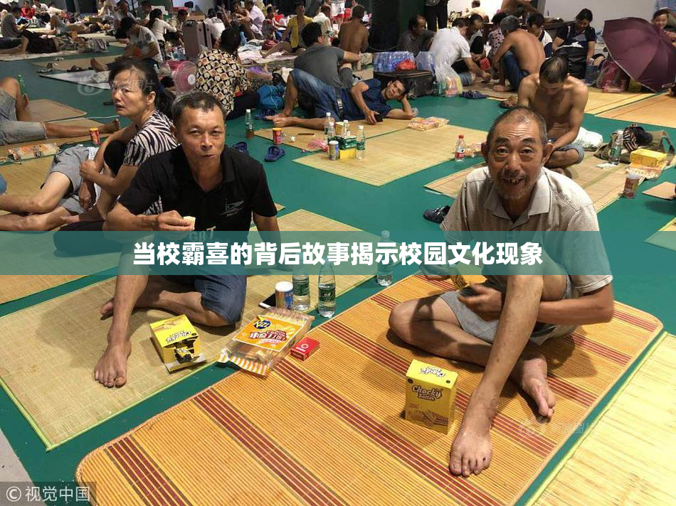 当校霸喜的背后故事揭示校园文化现象