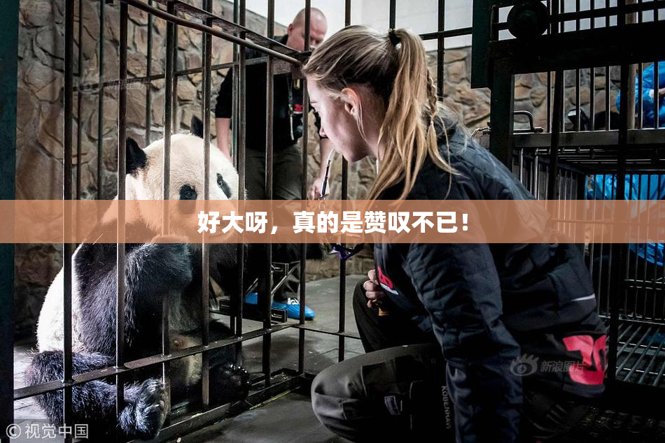 好大呀，真的是赞叹不已！