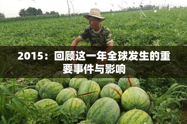 2015：回顾这一年全球发生的重要事件与影响