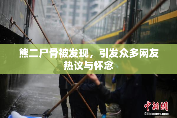 熊二尸骨被发现，引发众多网友热议与怀念