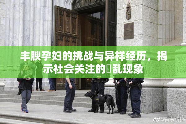 丰腴孕妇的挑战与异样经历，揭示社会关注的婬乱现象