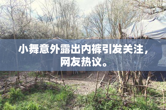 小舞意外露出内裤引发关注，网友热议。