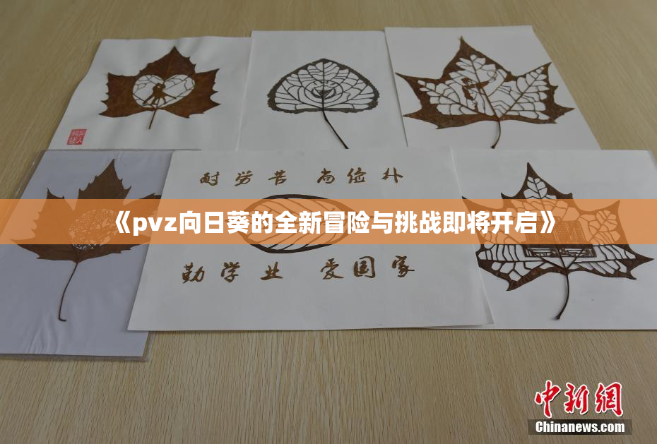 《pvz向日葵的全新冒险与挑战即将开启》