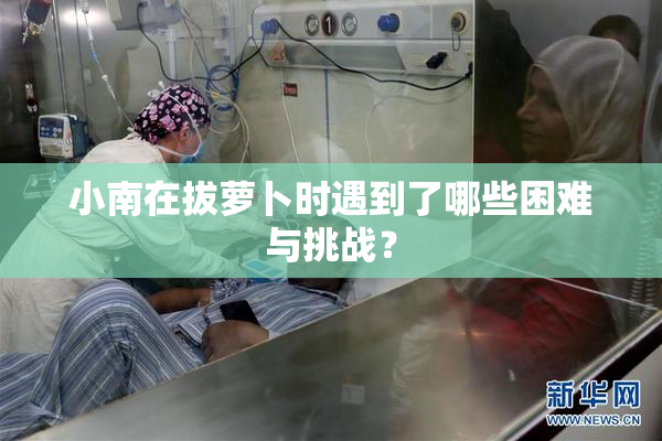 小南在拔萝卜时遇到了哪些困难与挑战？