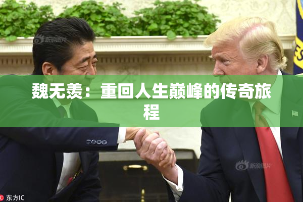魏无羡：重回人生巅峰的传奇旅程