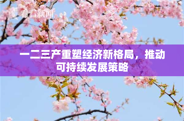 一二三产重塑经济新格局，推动可持续发展策略