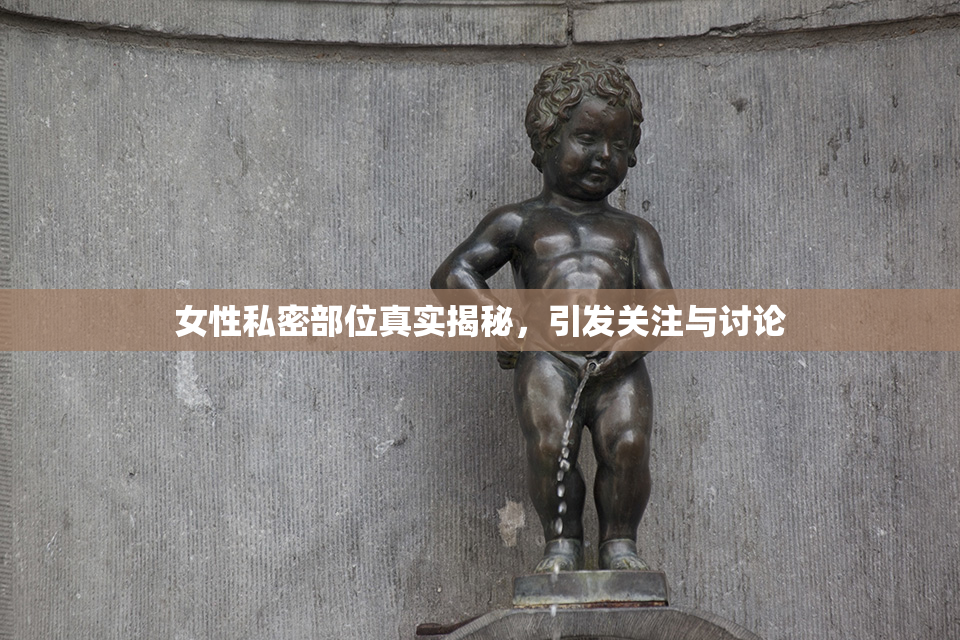 女性私密部位真实揭秘，引发关注与讨论