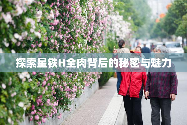 探索星铁H全肉背后的秘密与魅力