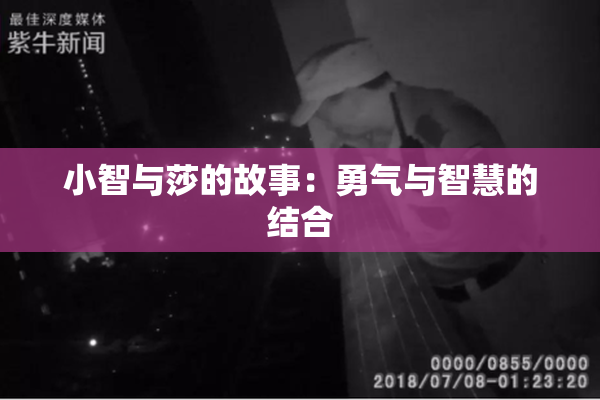 小智与莎的故事：勇气与智慧的结合
