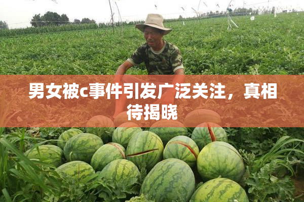 男女被c事件引发广泛关注，真相待揭晓