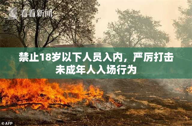 禁止18岁以下人员入内，严厉打击未成年人入场行为