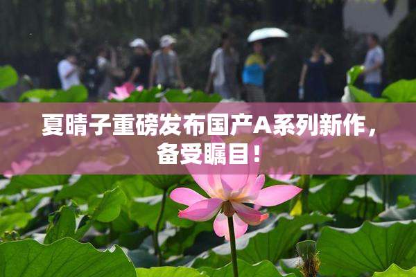 夏晴子重磅发布国产A系列新作，备受瞩目！