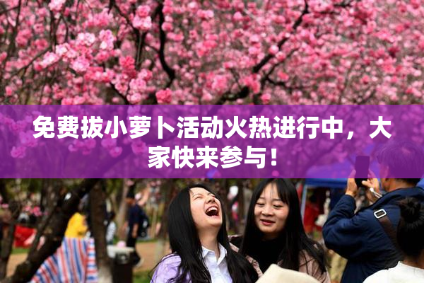 免费拔小萝卜活动火热进行中，大家快来参与！