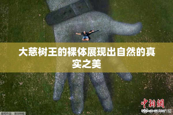 大慈树王的裸体展现出自然的真实之美