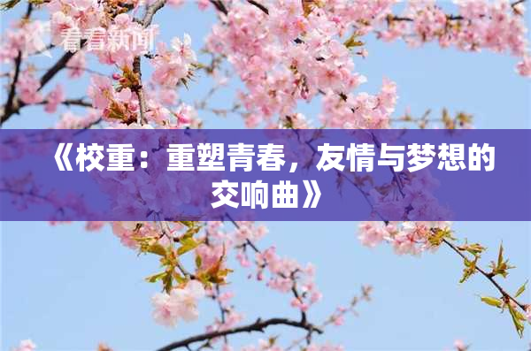 《校重：重塑青春，友情与梦想的交响曲》