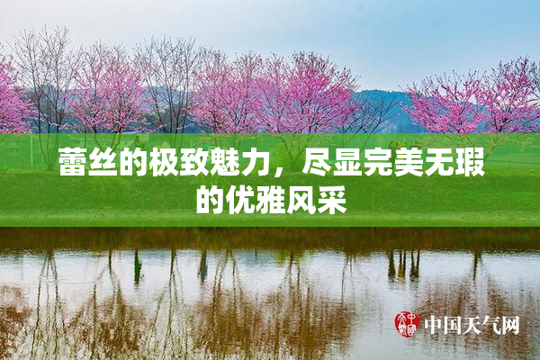 蕾丝的极致魅力，尽显完美无瑕的优雅风采