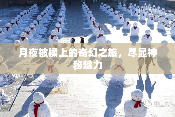 月夜被揉上的奇幻之旅，尽显神秘魅力