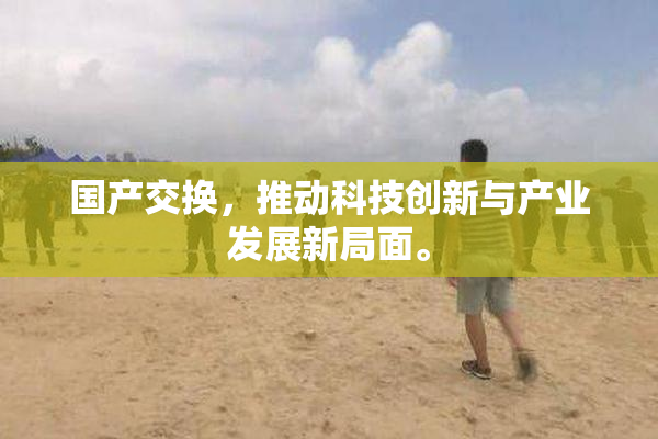 国产交换，推动科技创新与产业发展新局面。