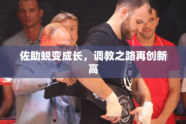 佐助蜕变成长，调教之路再创新高