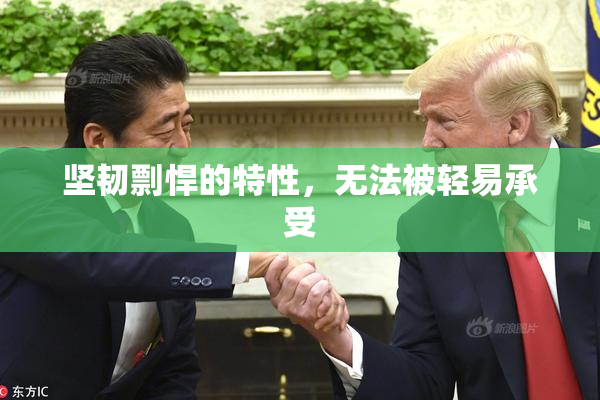 坚韧剽悍的特性，无法被轻易承受