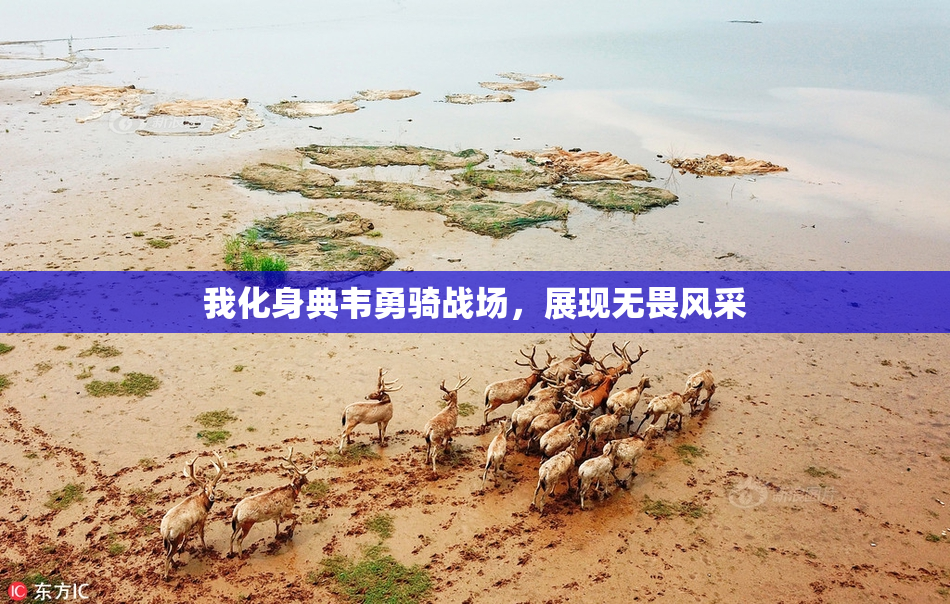 我化身典韦勇骑战场，展现无畏风采