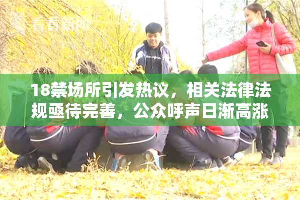 18禁场所引发热议，相关法律法规亟待完善，公众呼声日渐高涨。