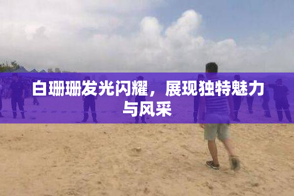 白珊珊发光闪耀，展现独特魅力与风采