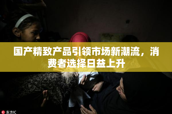 国产精致产品引领市场新潮流，消费者选择日益上升