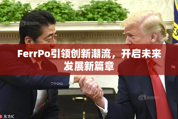 FerrPo引领创新潮流，开启未来发展新篇章