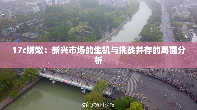 17c嫩嫩：新兴市场的生机与挑战并存的局面分析
