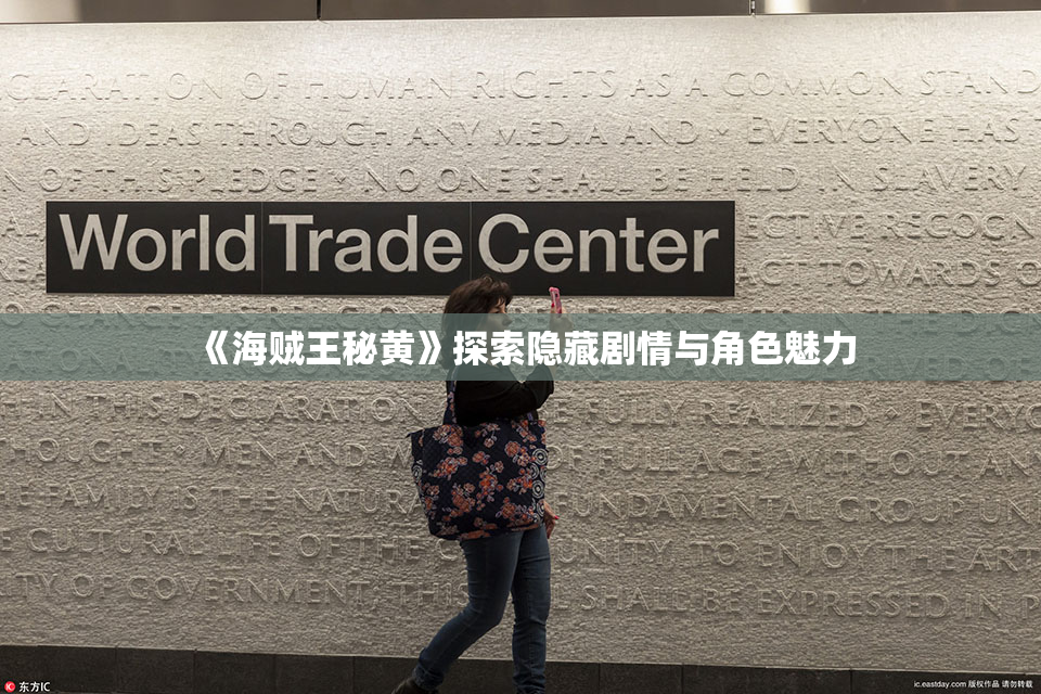 《海贼王秘黄》探索隐藏剧情与角色魅力