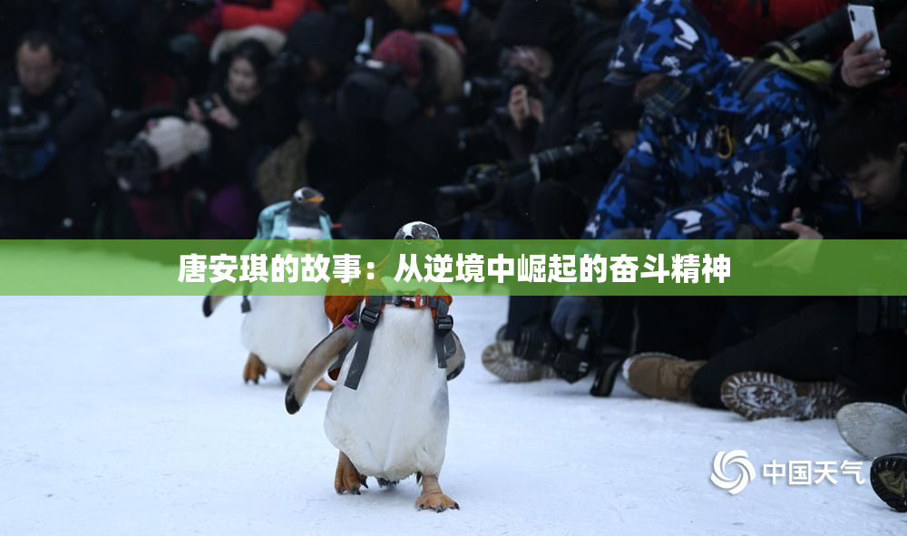 唐安琪的故事：从逆境中崛起的奋斗精神