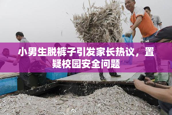 小男生脱裤子引发家长热议，置疑校园安全问题