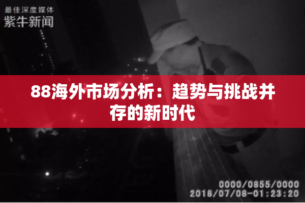 88海外市场分析：趋势与挑战并存的新时代