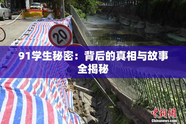 91学生秘密：背后的真相与故事全揭秘