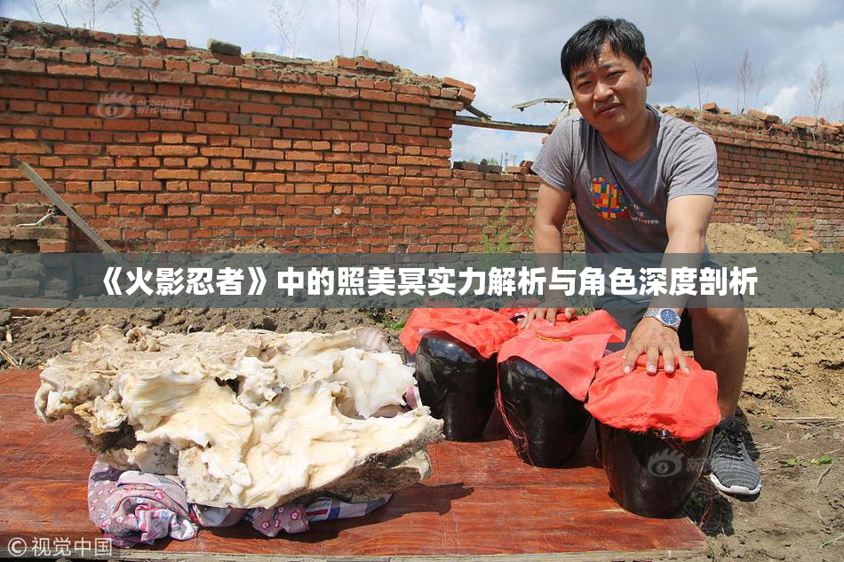 《火影忍者》中的照美冥实力解析与角色深度剖析