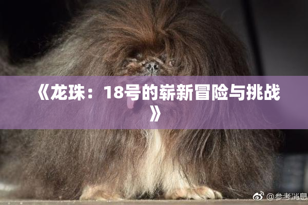 《龙珠：18号的崭新冒险与挑战》