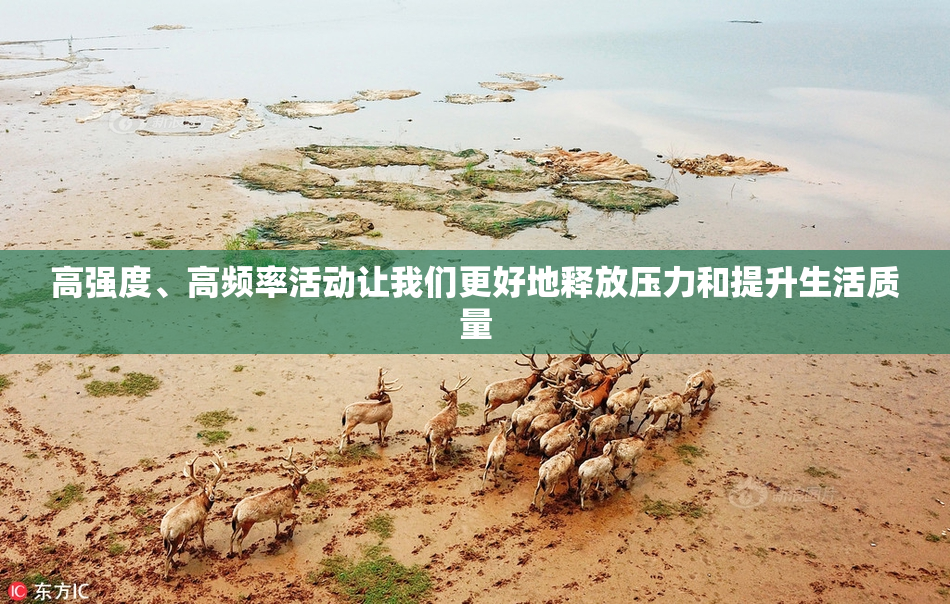 高强度、高频率活动让我们更好地释放压力和提升生活质量